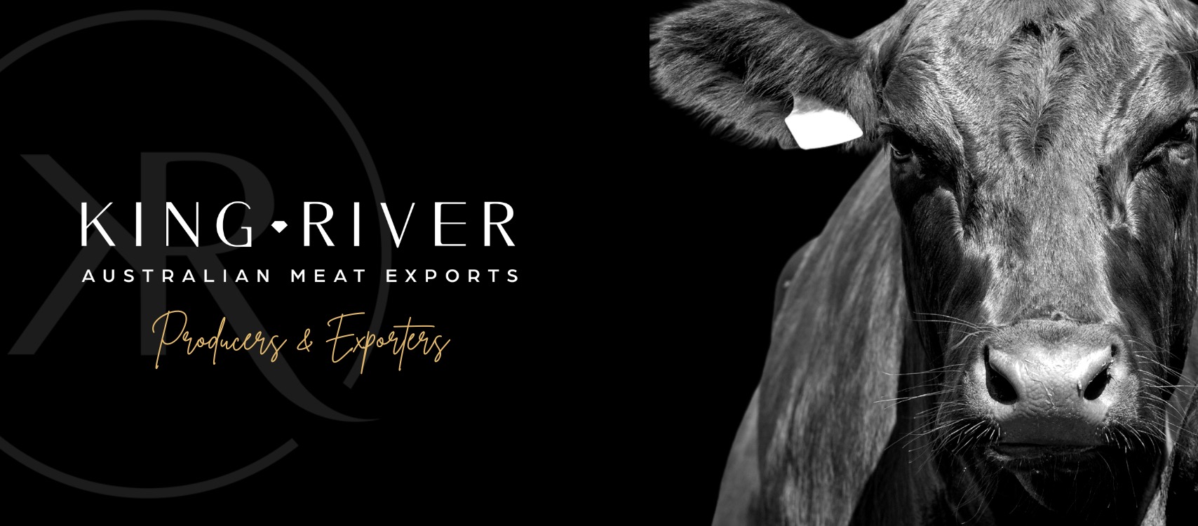 xr:d:DAFNq3Cexz8:10,j:36721430659,t:22093007